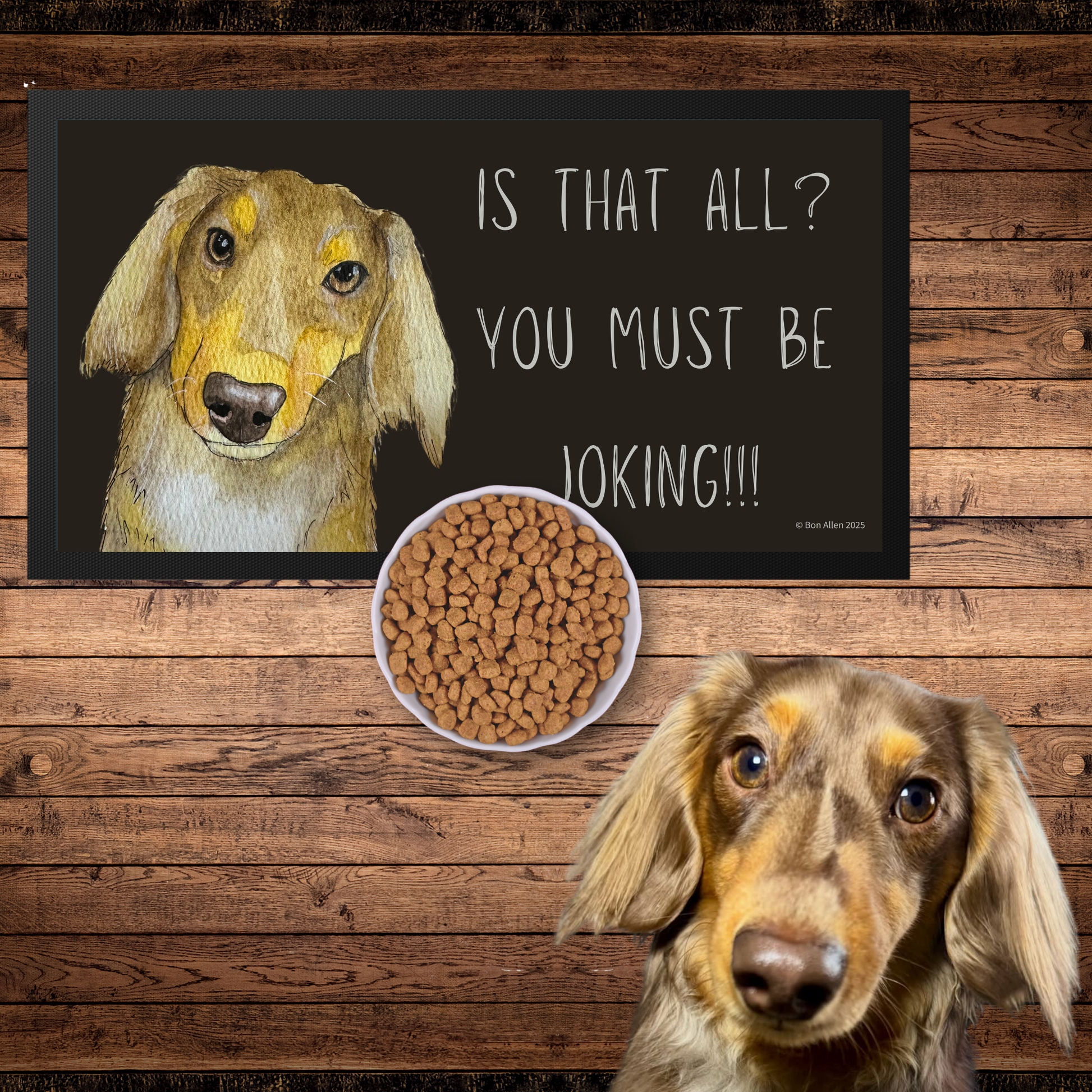 Long Haired Dachshund Dining Drama Pet Bowl Mat