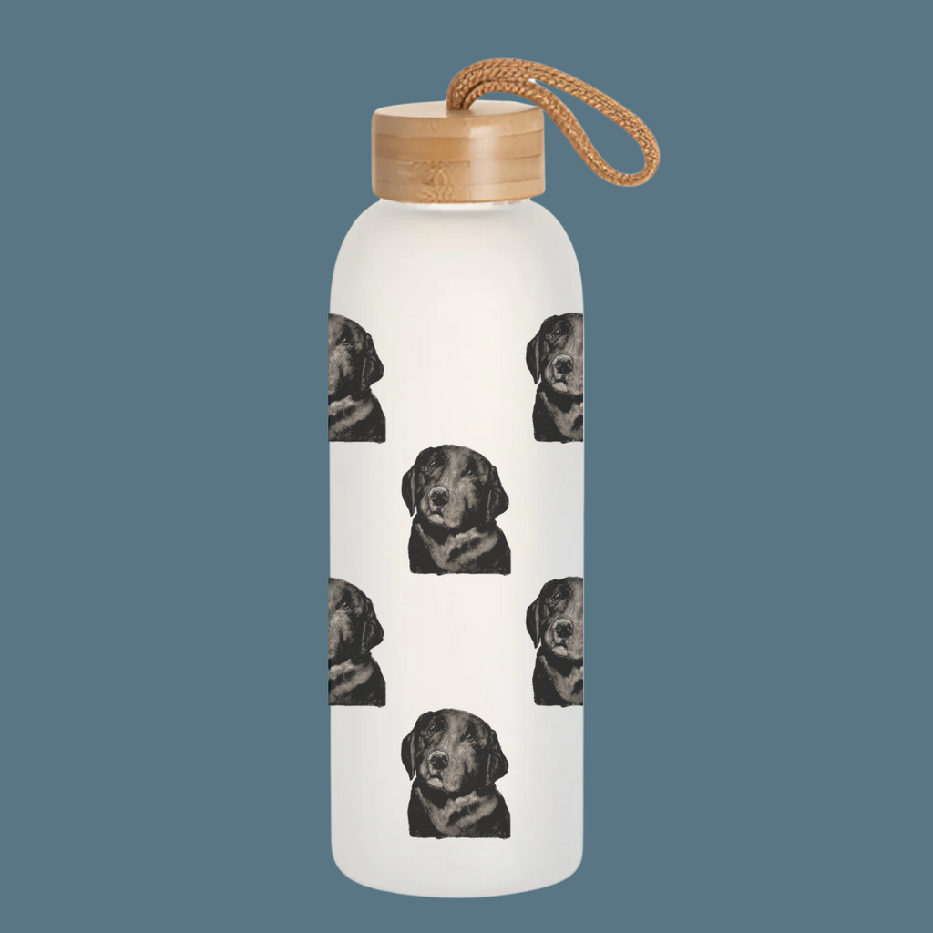 Stay Pawsitively Hydrated Glass Water Bottle