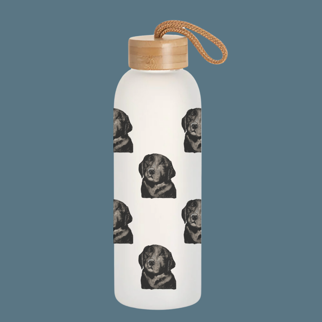 Stay Pawsitively Hydrated Glass Water Bottle