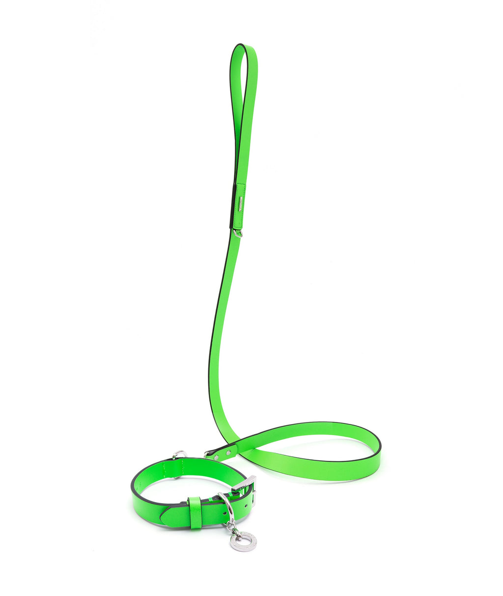 Premium Leather Lead and Collar Set