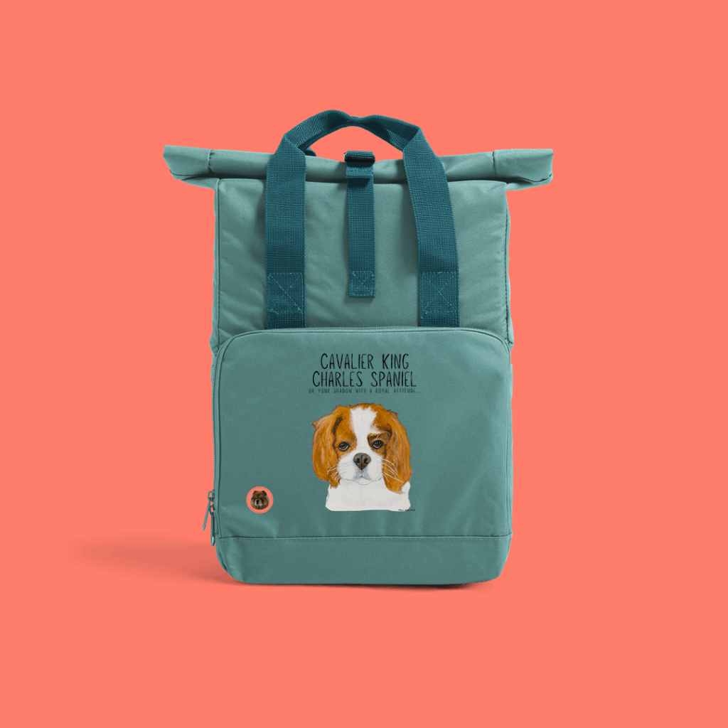 Sustainable Backpack with Cavalier Attitude