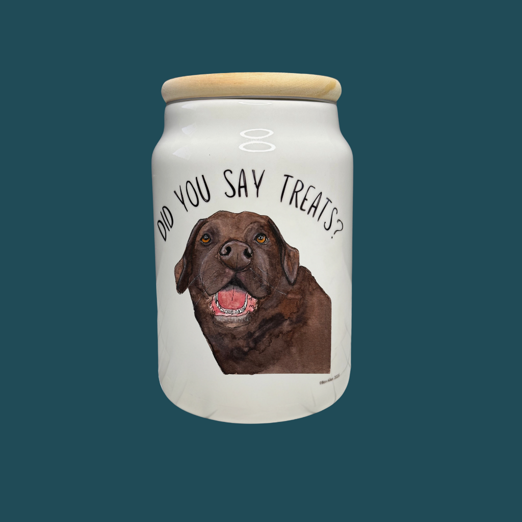 In Case of Emergency Break for Biscuits Ceramic Treat Jar