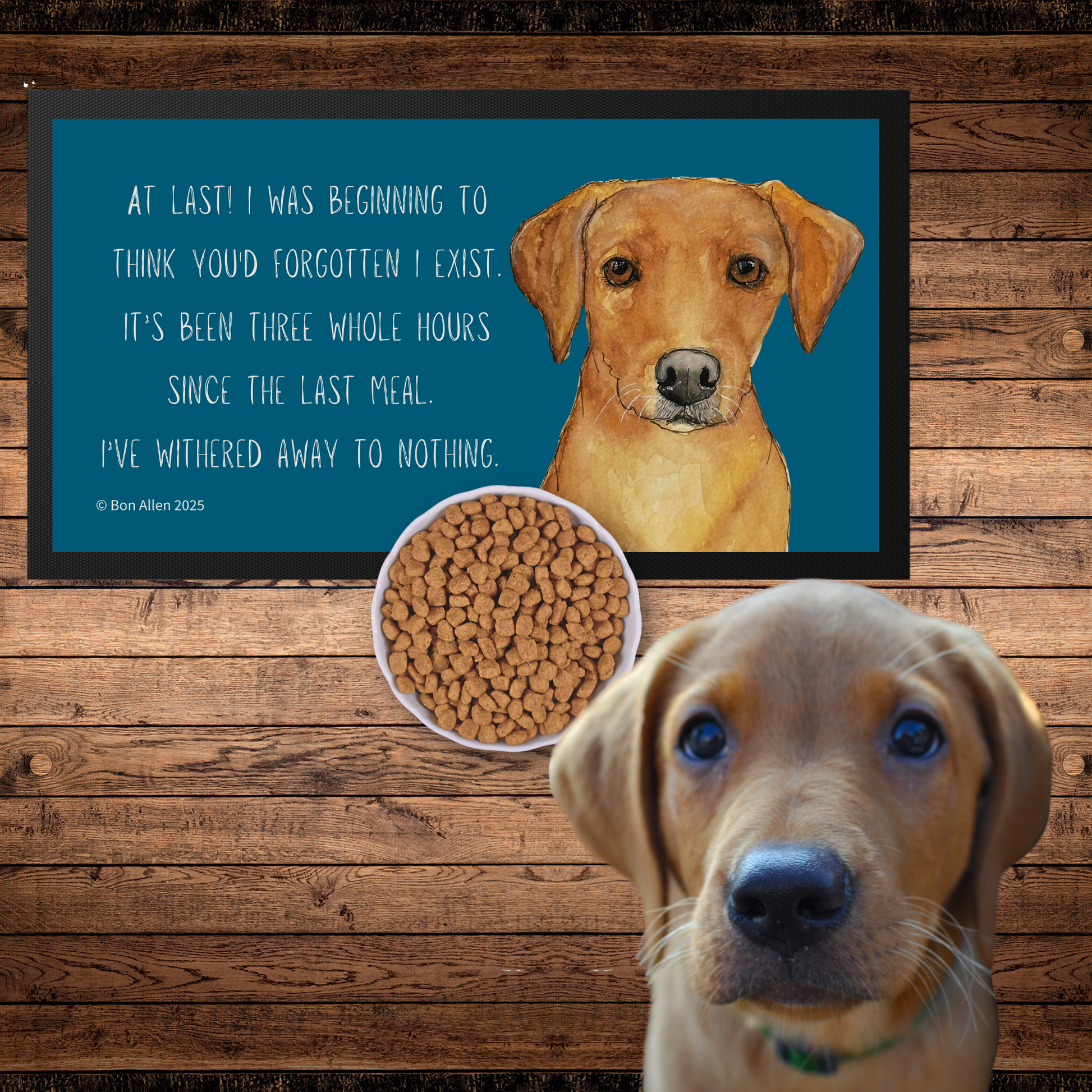 Fox Red Labrador Starving Since Breakfast Pet Bowl Mat