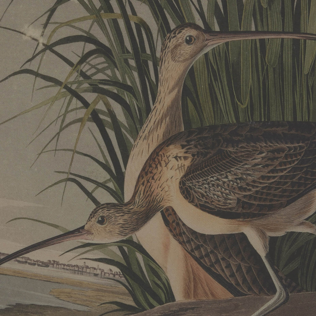 Handcrafted curlew artwork on linen with muted tones and ornate beaded frame, 45x62cm by sostter at brixbailey.com