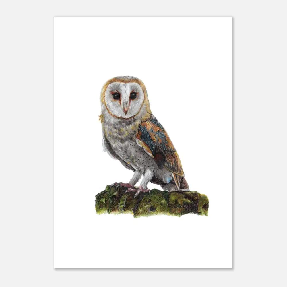 Hand Drawn Barn Owl Wildlife Wall Art Print A4