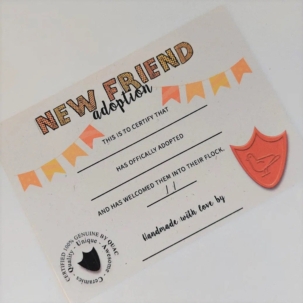 Val with the Pal Bath Duck Ceramic Handmade