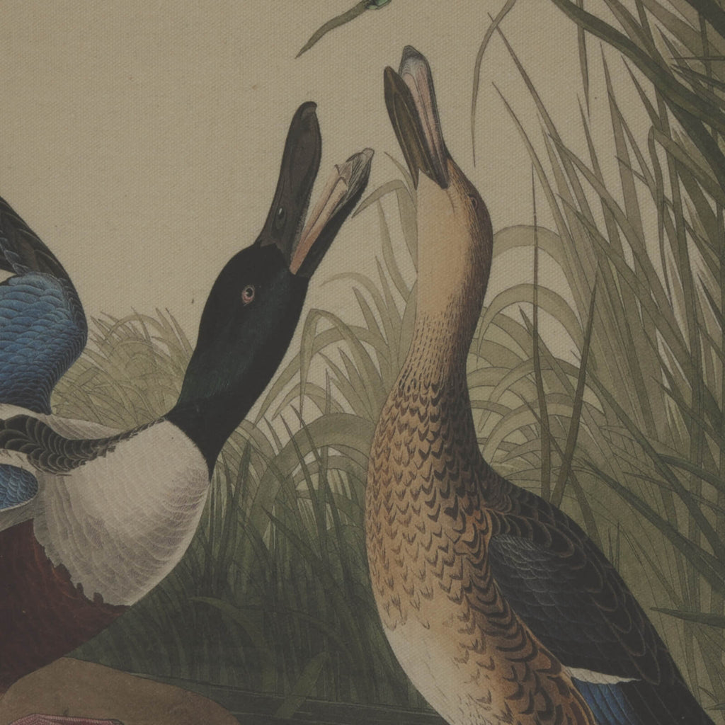 Handcrafted mallard artwork on linen canvas with beaded frame, earthy brown tones, 50x40 cm by sostter at brixbailey.com