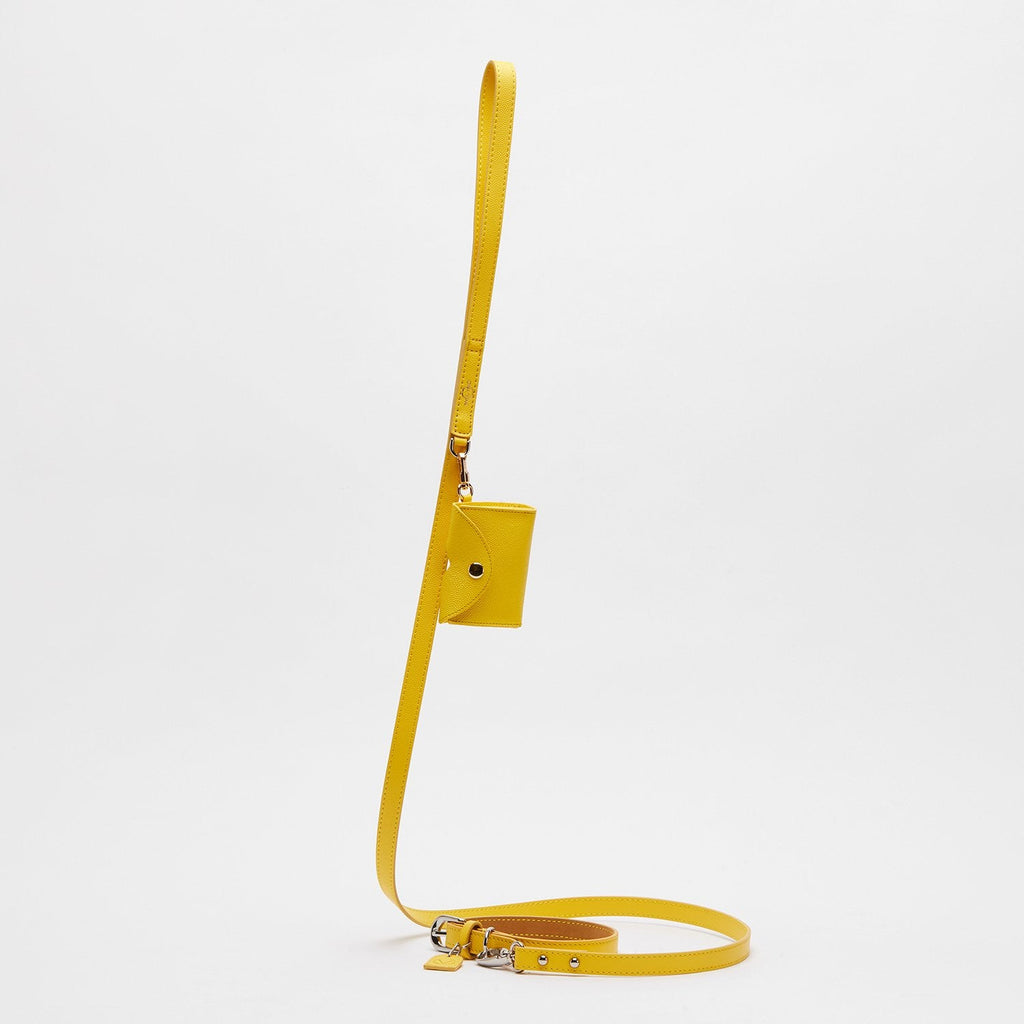 Leather Pocket for Dog Poo Bags