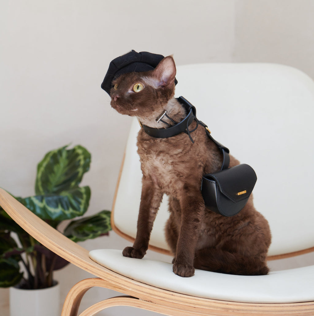 Pet Beret with Metal Buckle