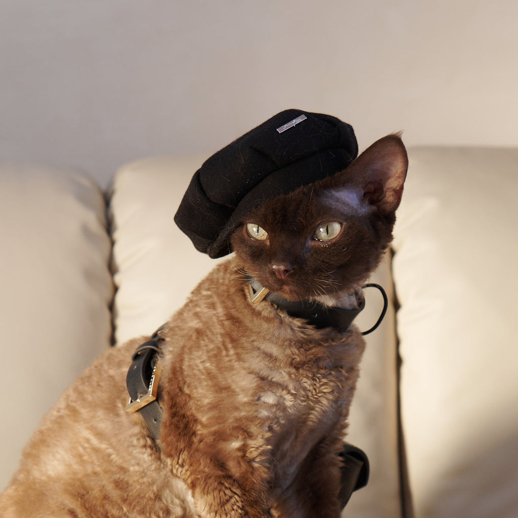 Pet Beret with Metal Buckle