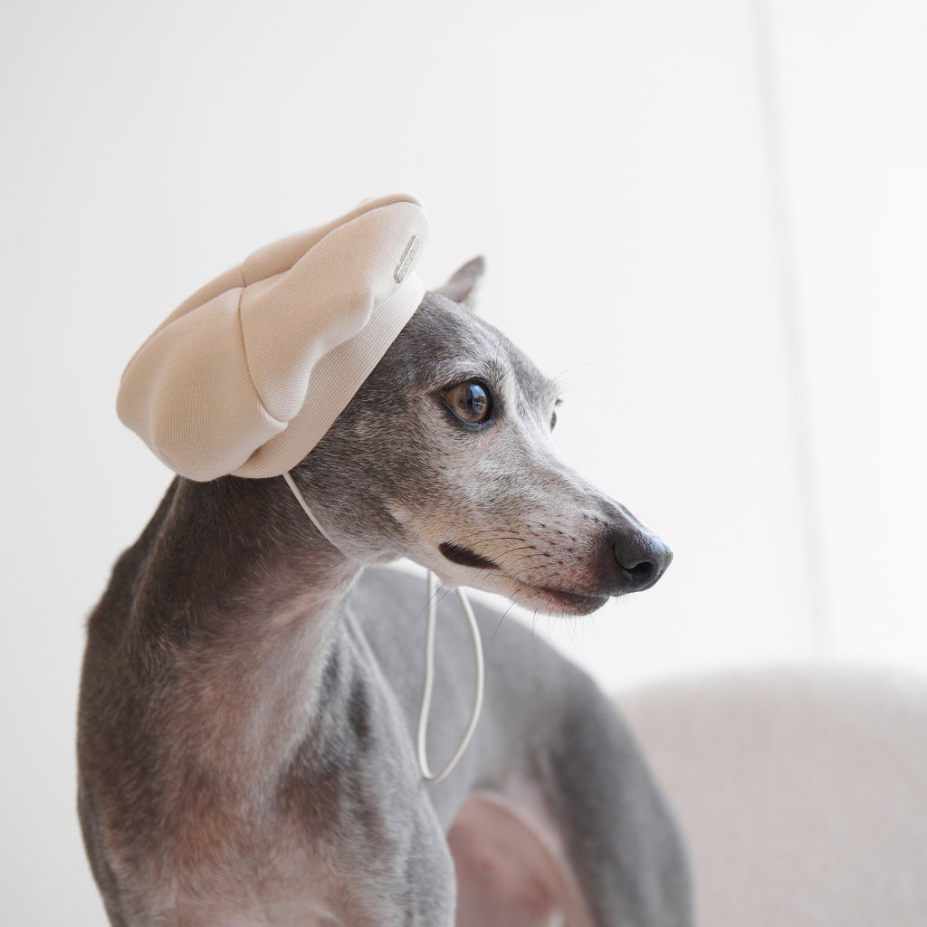 Pet Beret with Metal Buckle