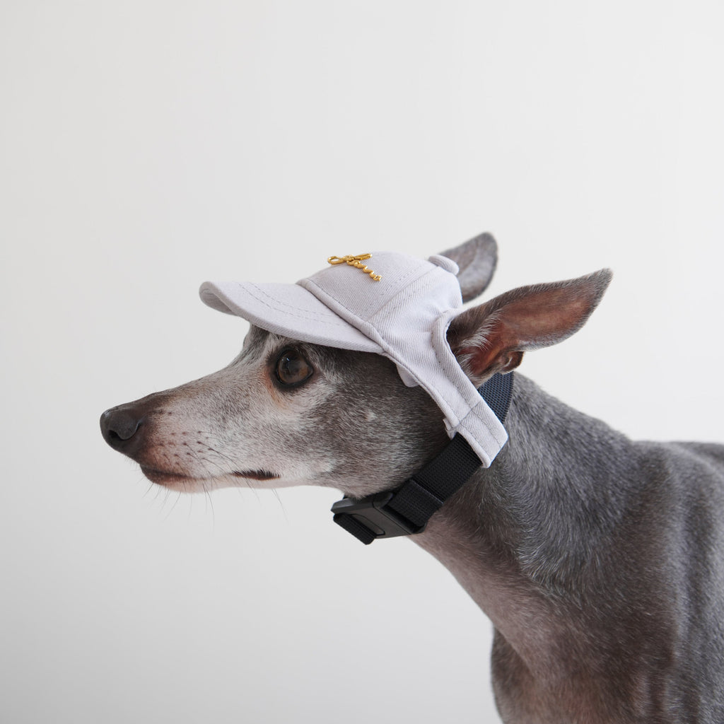 Puppy Cap with Golden Logo