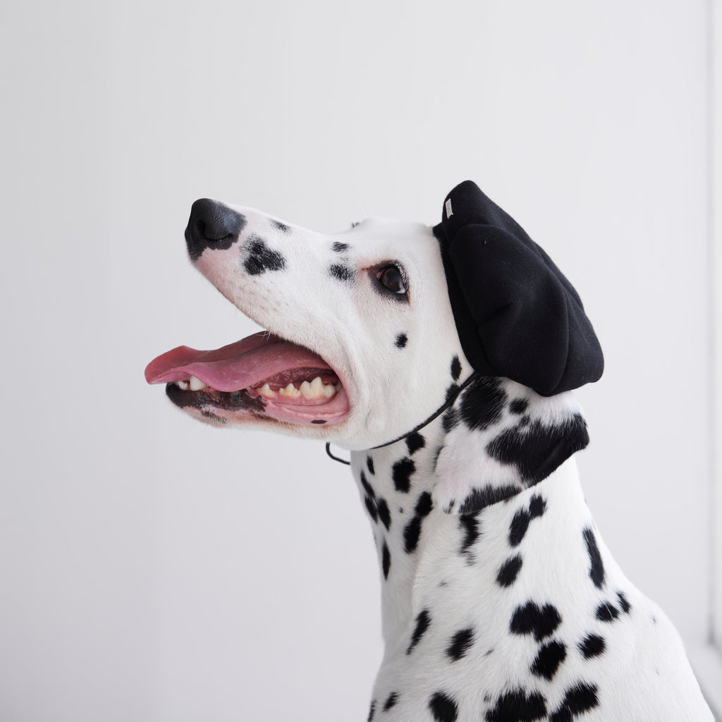 Pet Beret with Metal Buckle