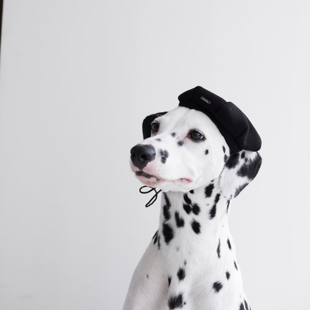 Pet Beret with Metal Buckle