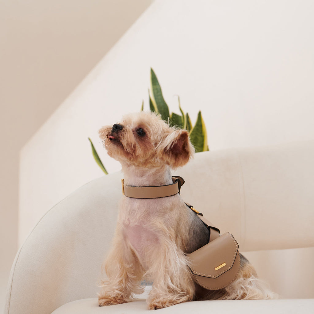 Puppy Pouch Harness