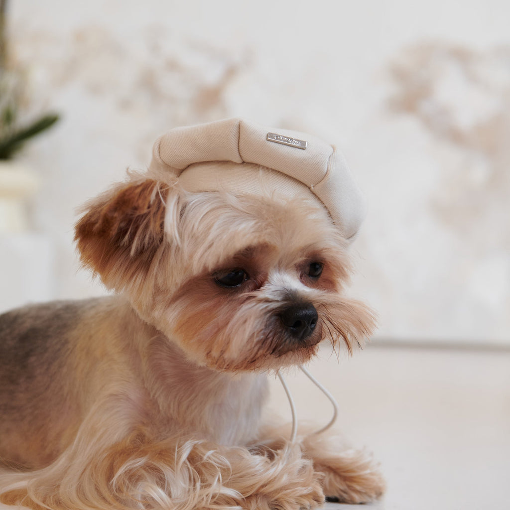 Pet Beret with Metal Buckle