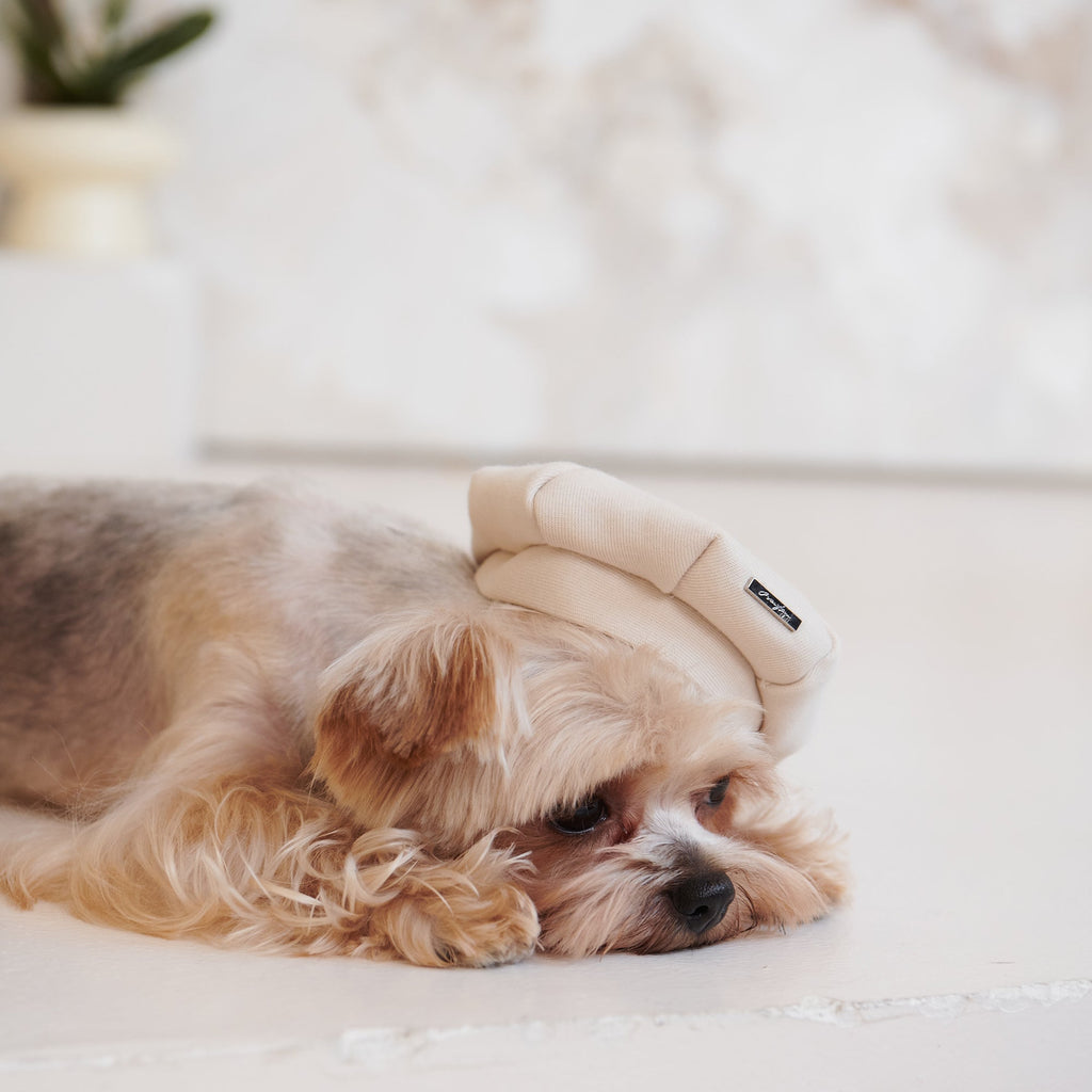 Pet Beret with Metal Buckle
