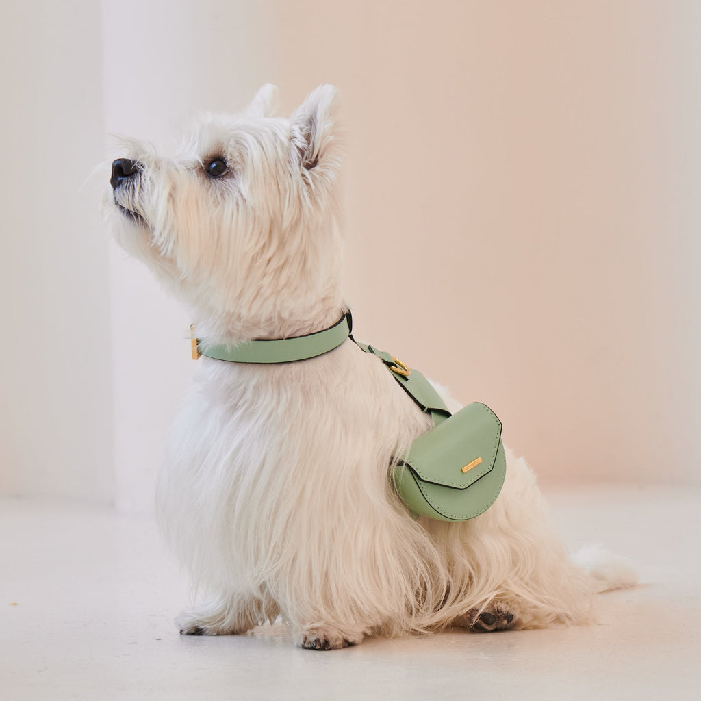 Puppy Pouch Harness