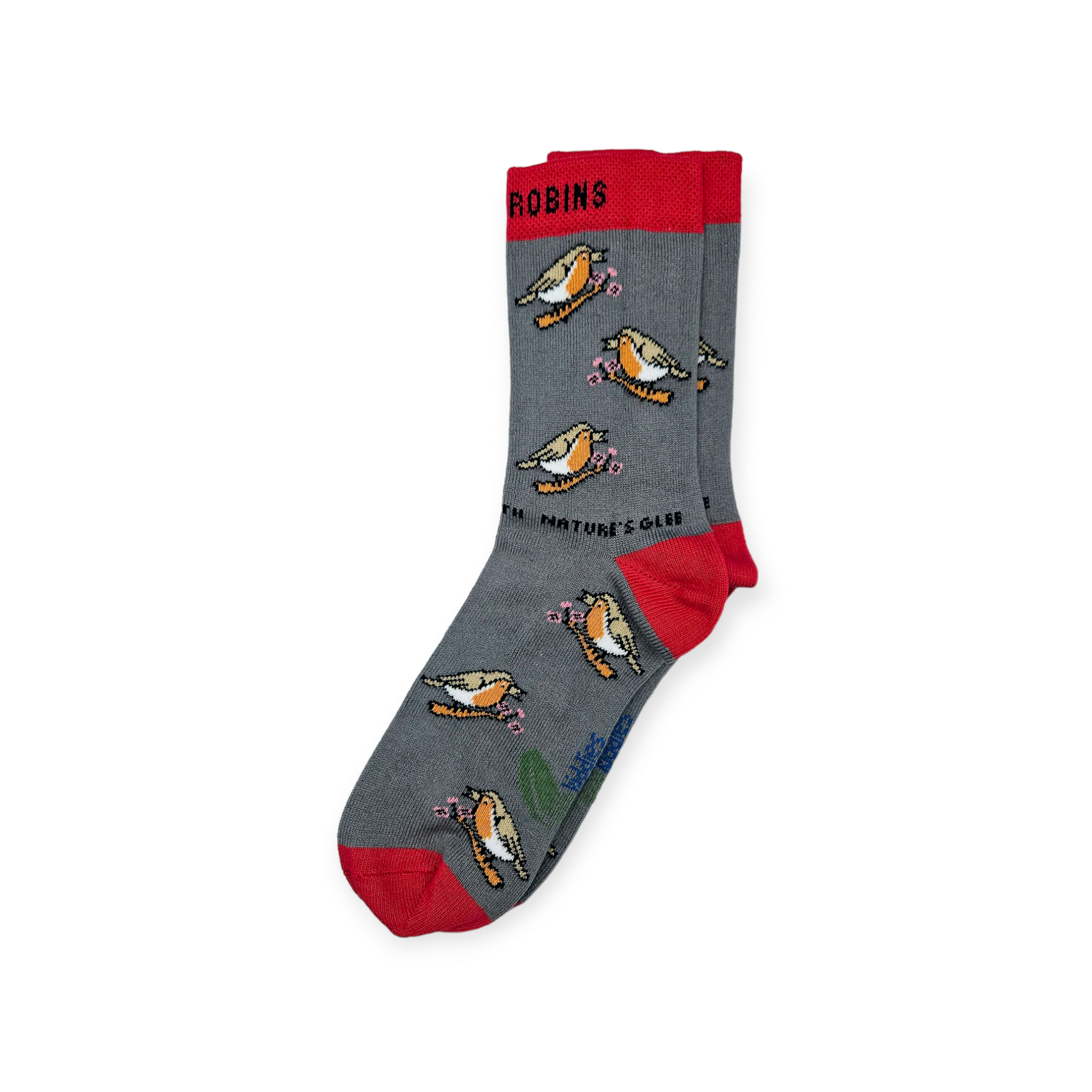 Organic Cotton Kids Socks Bundle with Penguins, Robins and School Socks