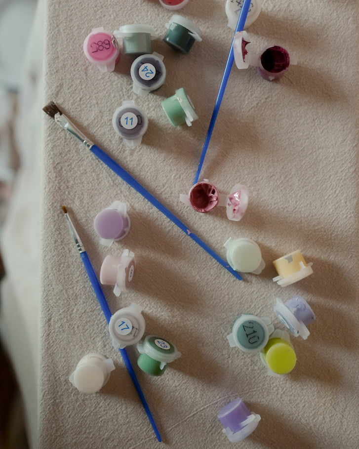 Mount Lucio Paint By Numbers Kit