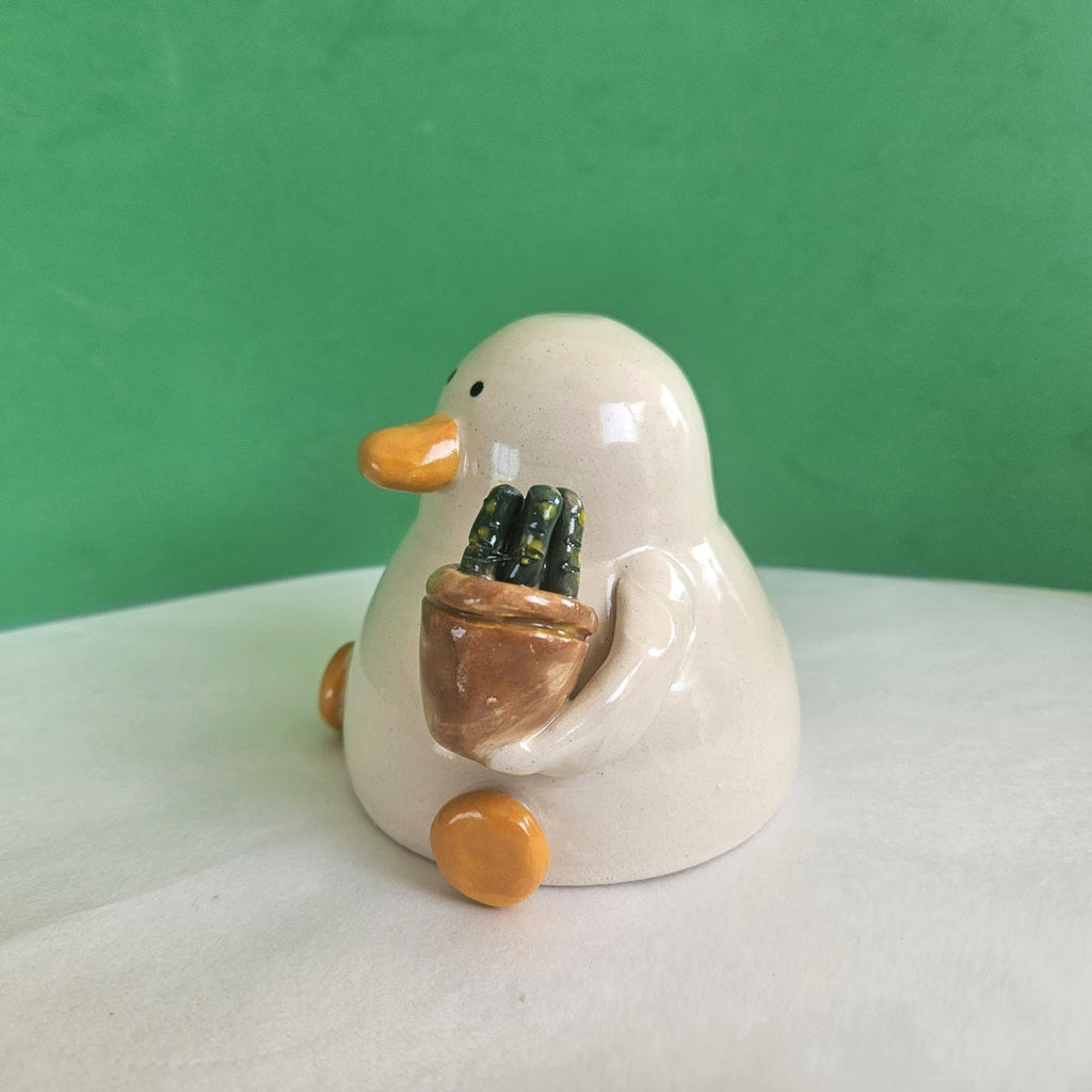 Duck with Succulent Ceramic Ornament