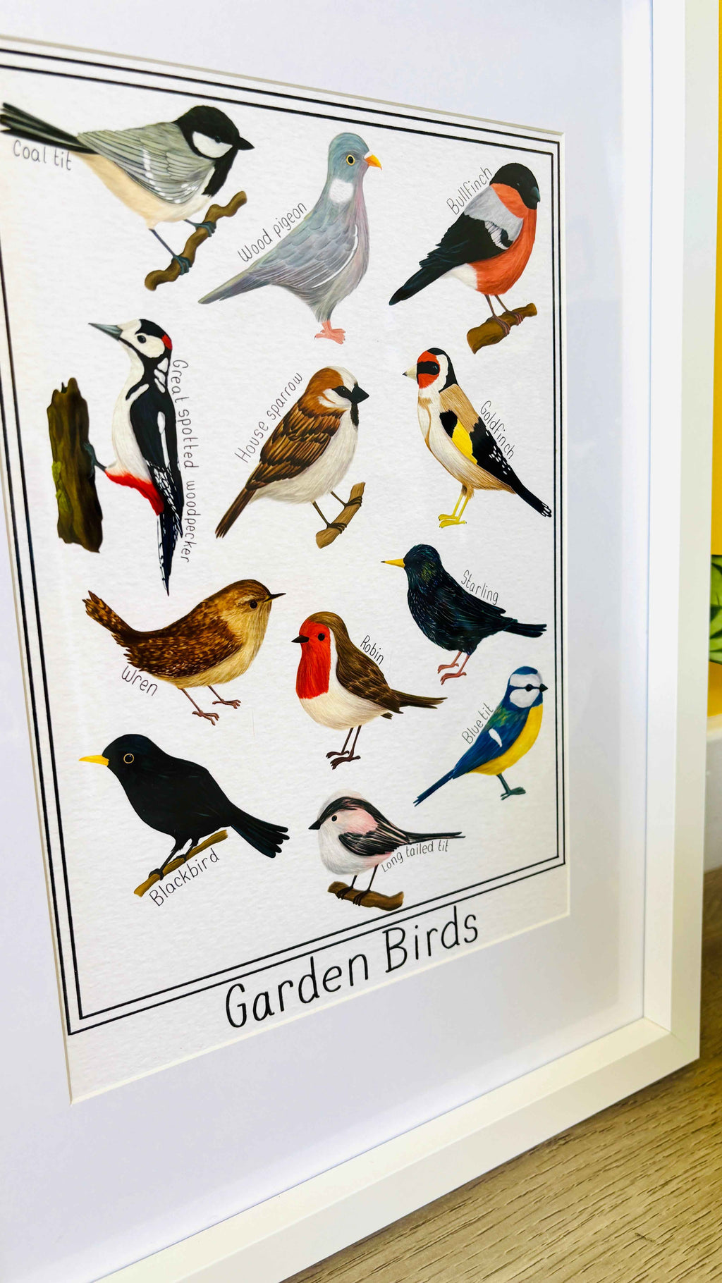 Garden British Birds Art Print Multiple Sizes