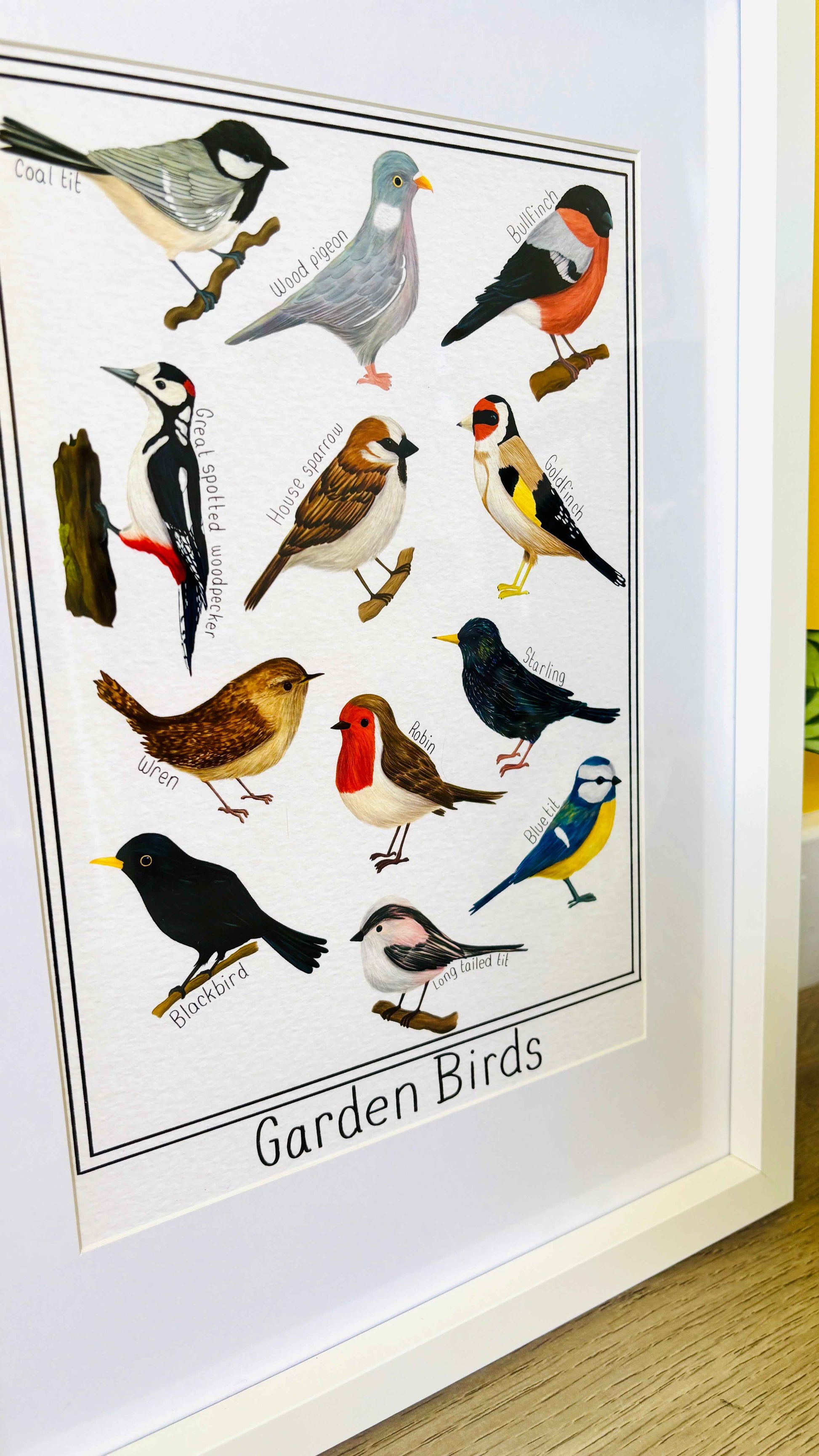 Garden British Birds Art Print Multiple Sizes
