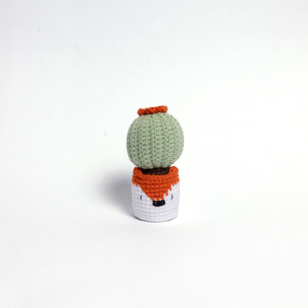 Handmade Crochet Cactus Family Collection Five New Friends