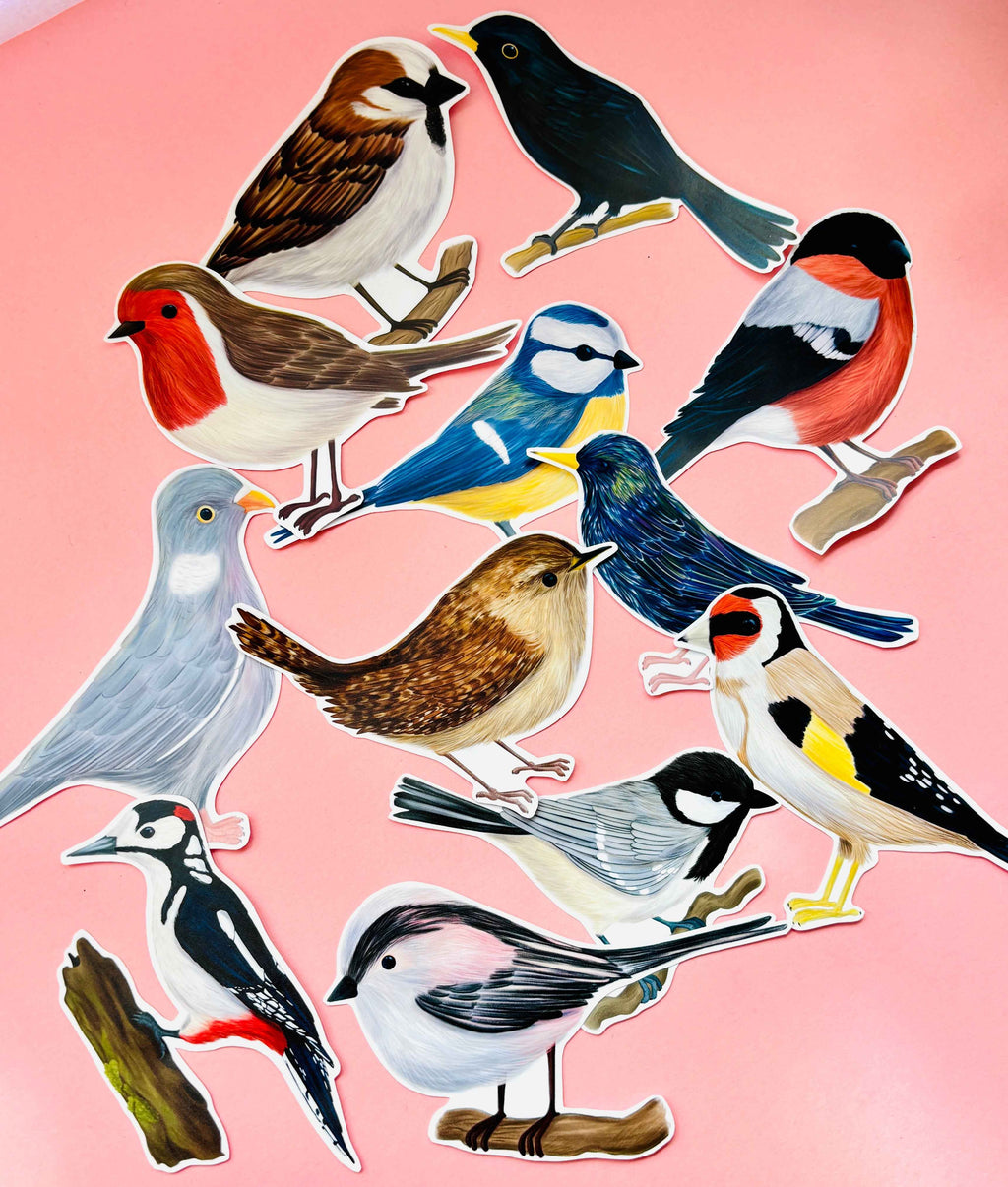 Garden Birds 10cm Vinyl Stickers Nature Inspired Waterproof Decals