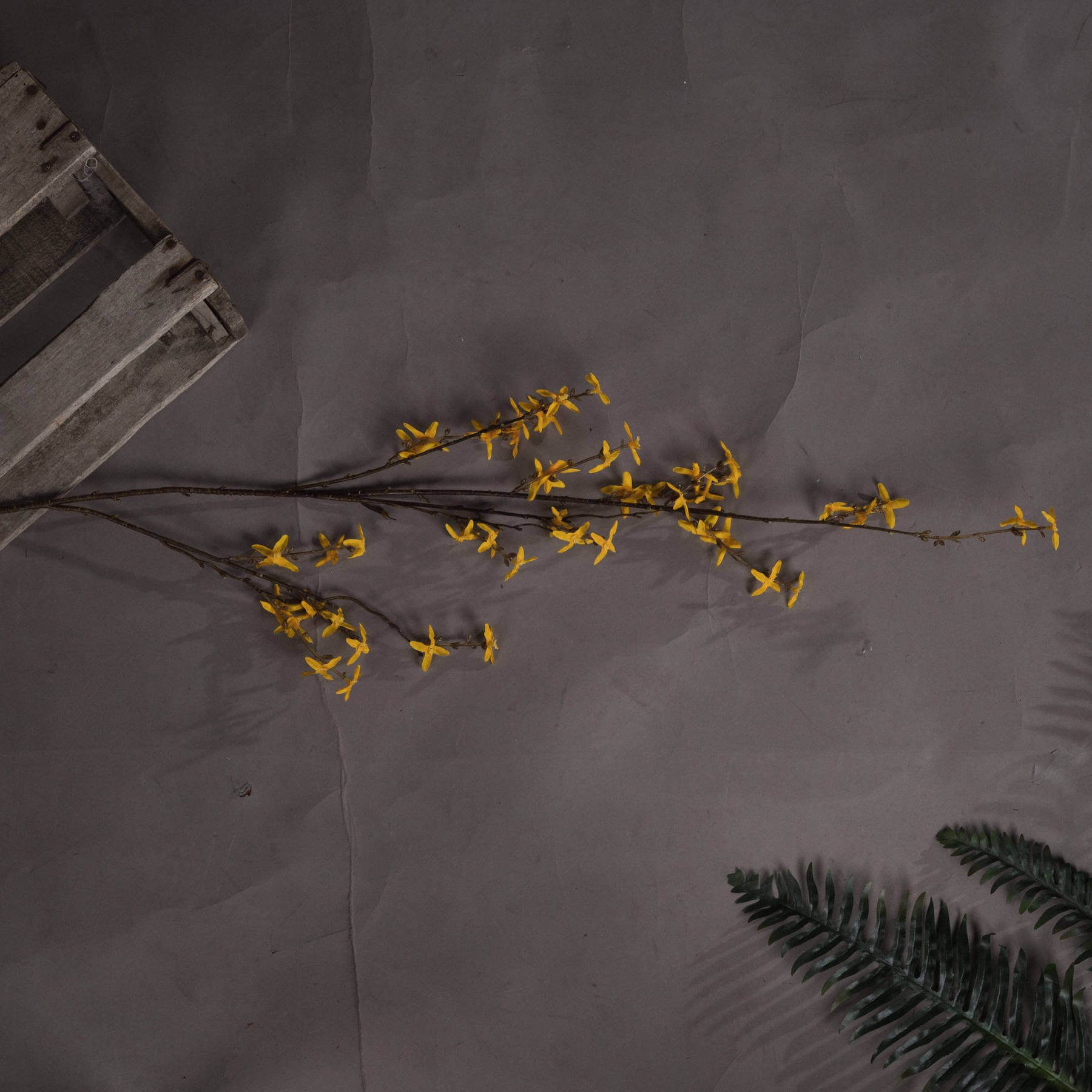 a soft-focus close-up of vibrant yellow forsythia blossoms on a realistic artificial stem