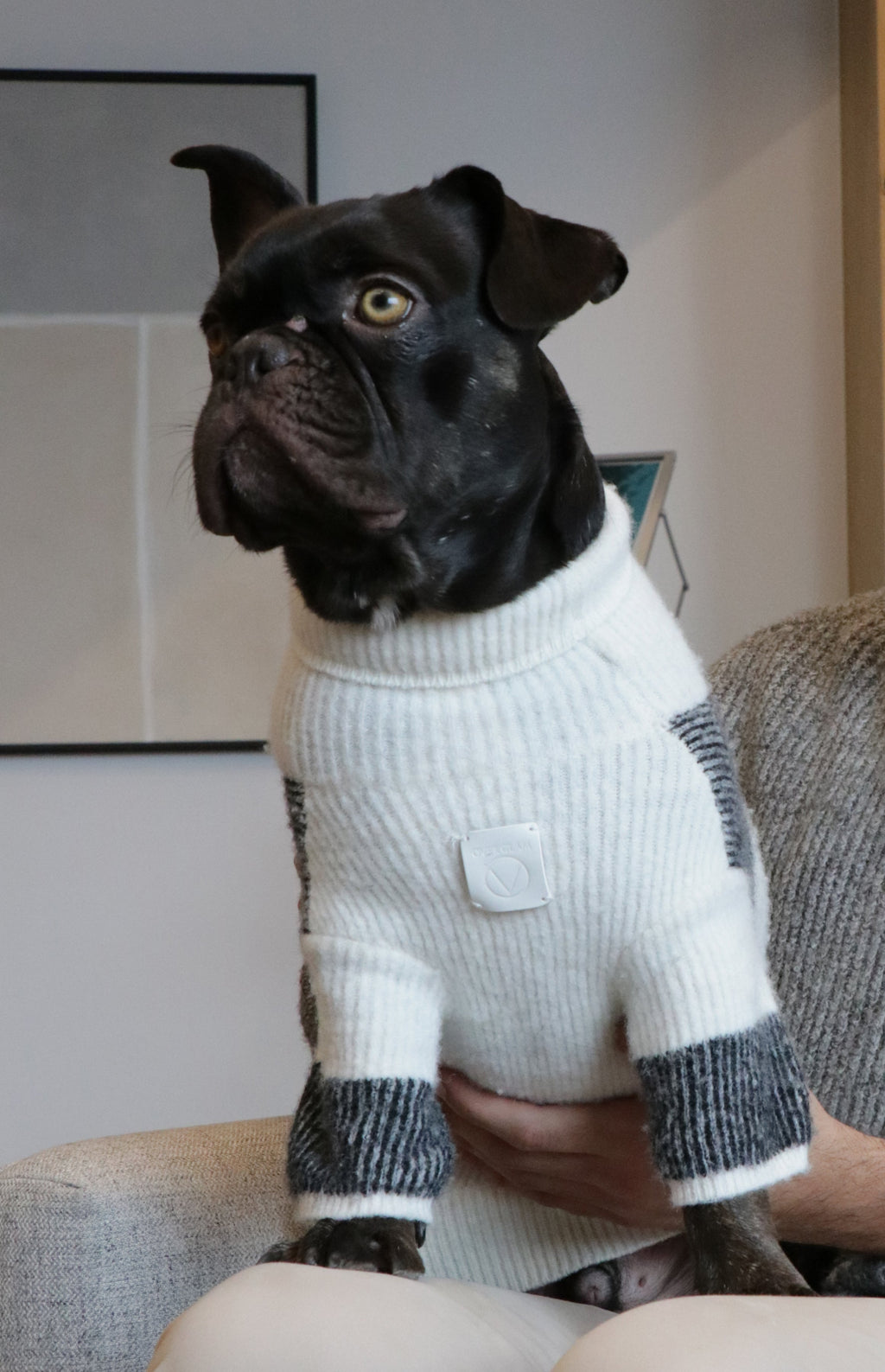 Contrast Stripe Turtleneck Jumper in Black and White