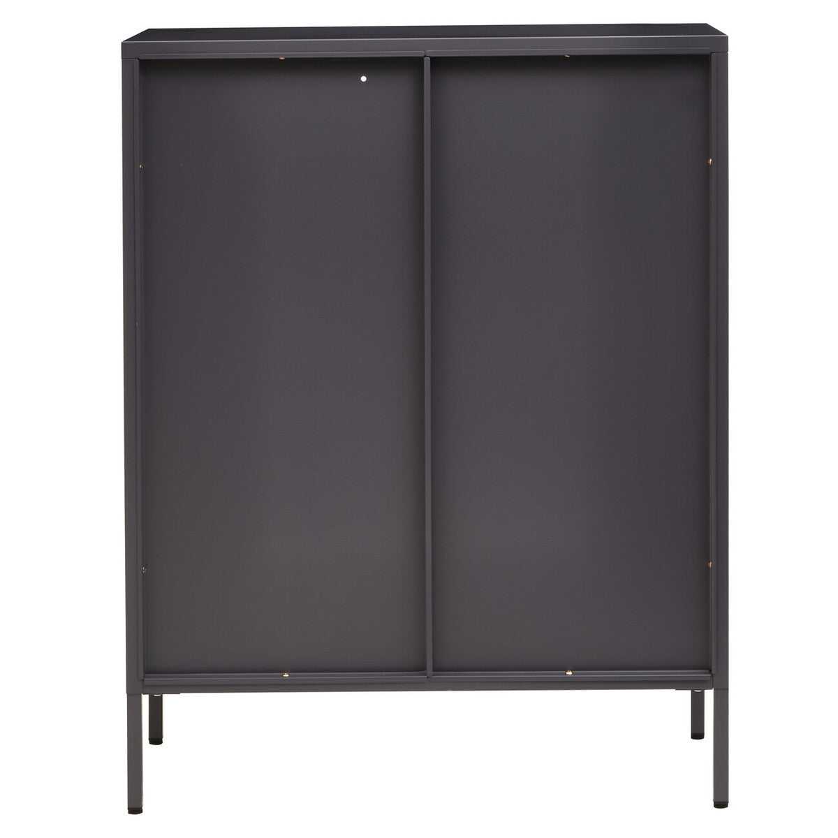 Two Door Grey Metal Cabinet with Tempered Glass