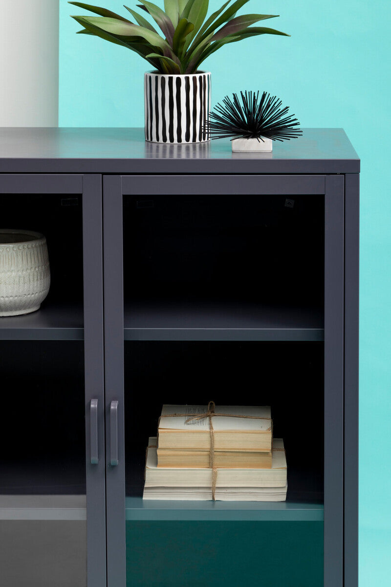 Two Door Grey Metal Cabinet with Tempered Glass