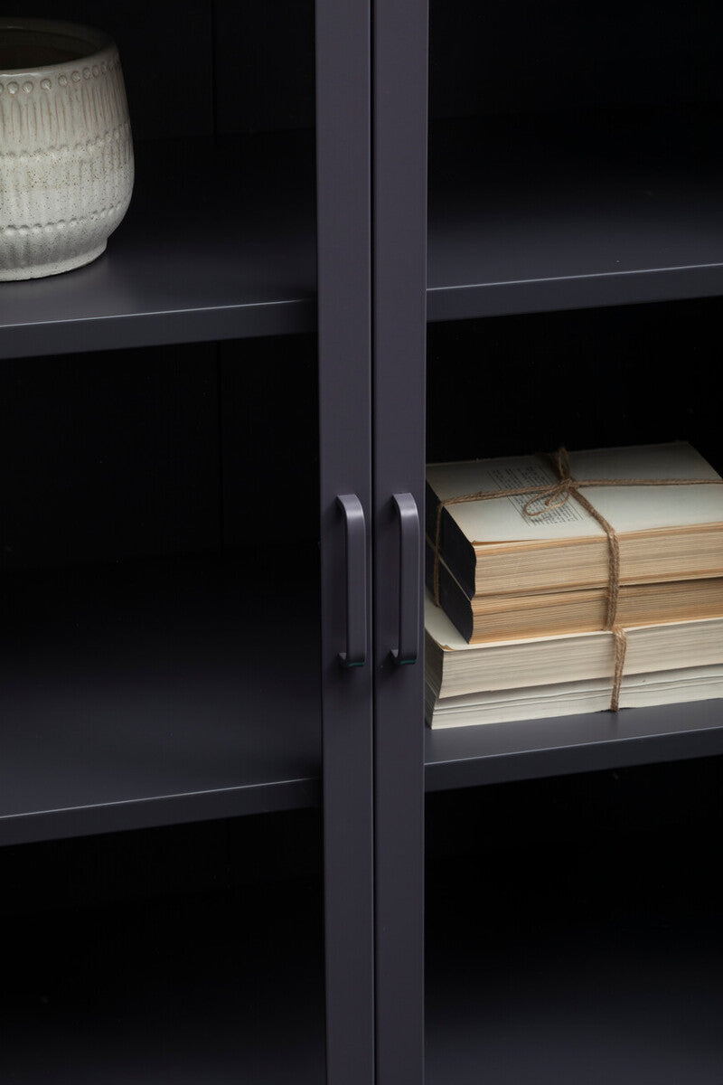 Two Door Grey Metal Cabinet with Tempered Glass