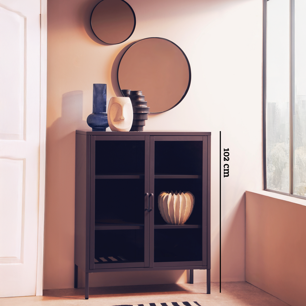 Two Door Grey Metal Cabinet with Tempered Glass