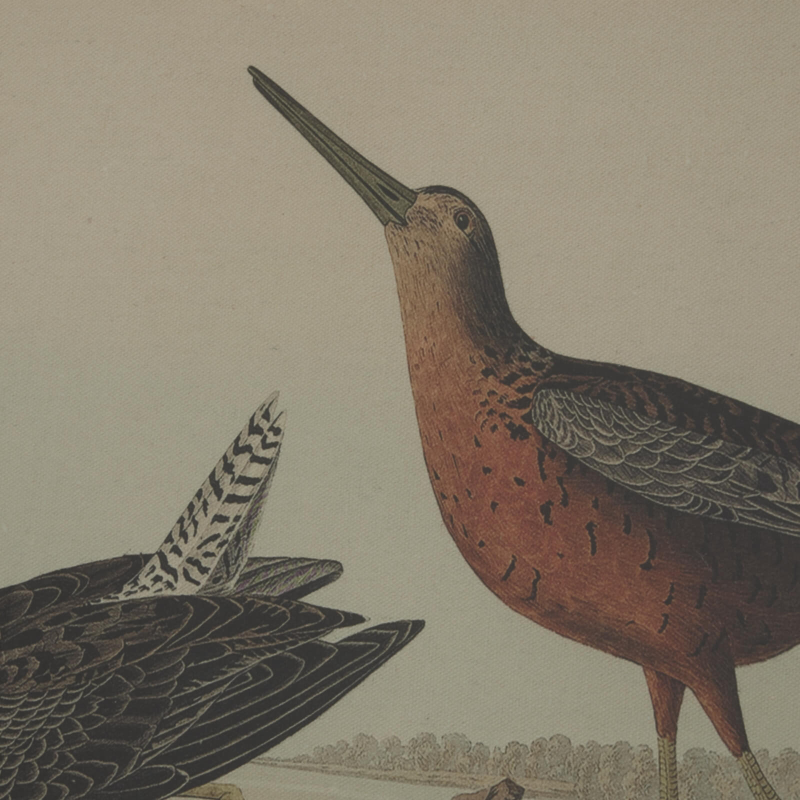 Handcrafted snipe artwork on natural linen with beaded frame in earthy tones, contemporary wildlife wall decor by Sostter at brixbailey.com