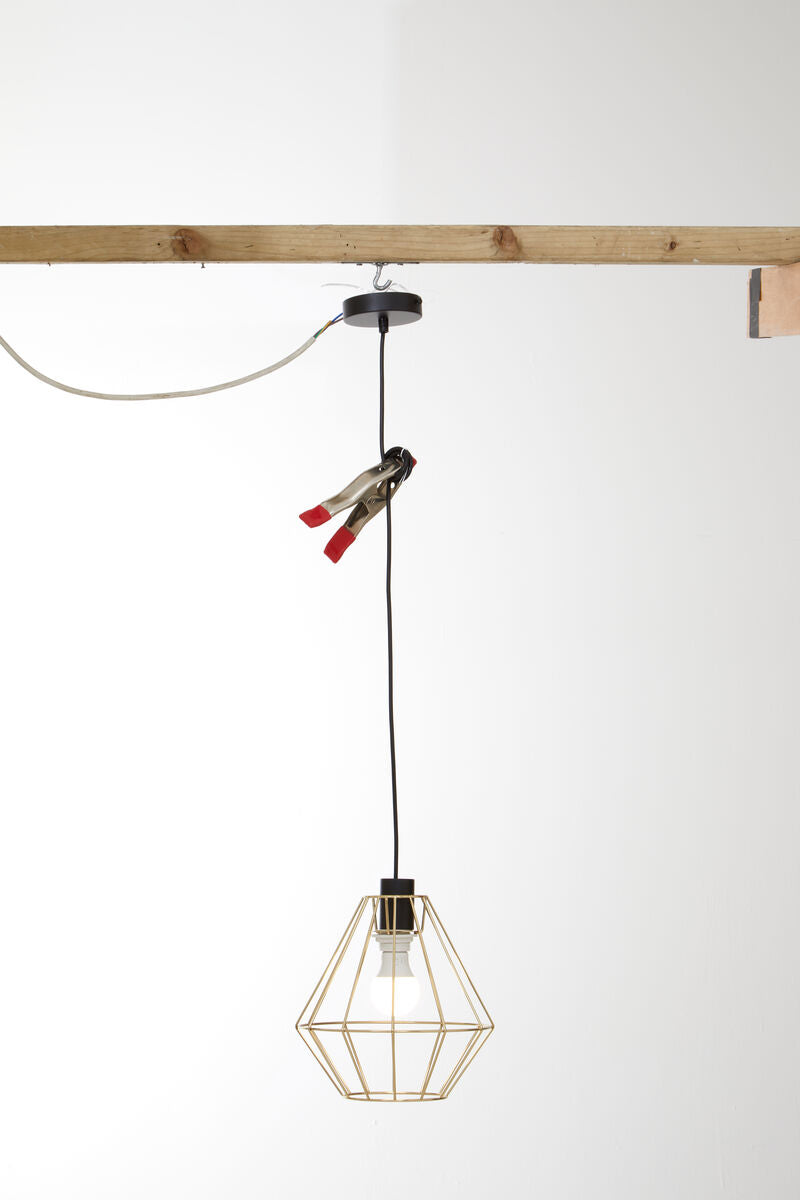 Champagne Gold Cage Pendant Light