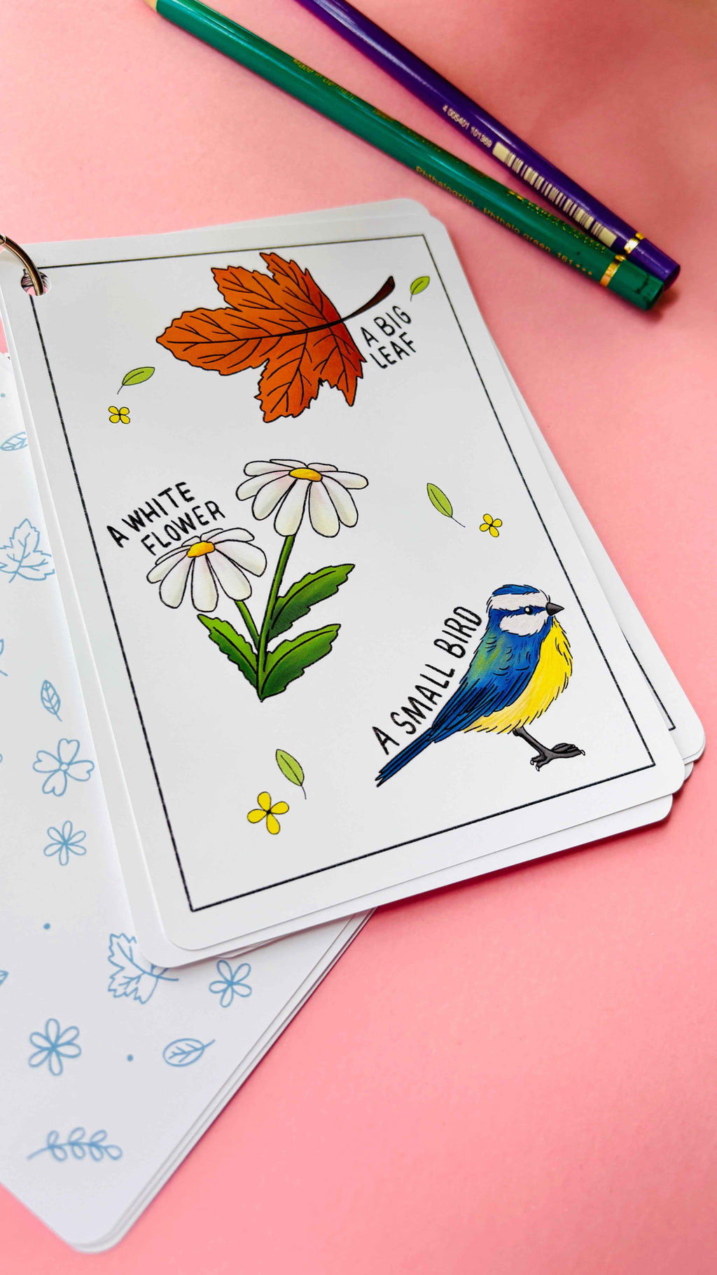 Nature Explorer Scavenger Hunt Cards Illustrated Educational Activity