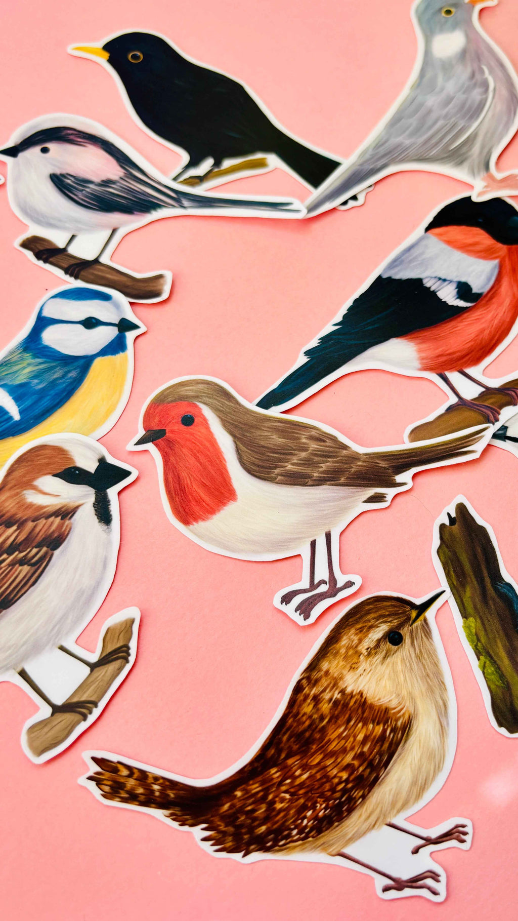 Garden Bird Vinyl Sticker Set 12 Pack 7cm Waterproof