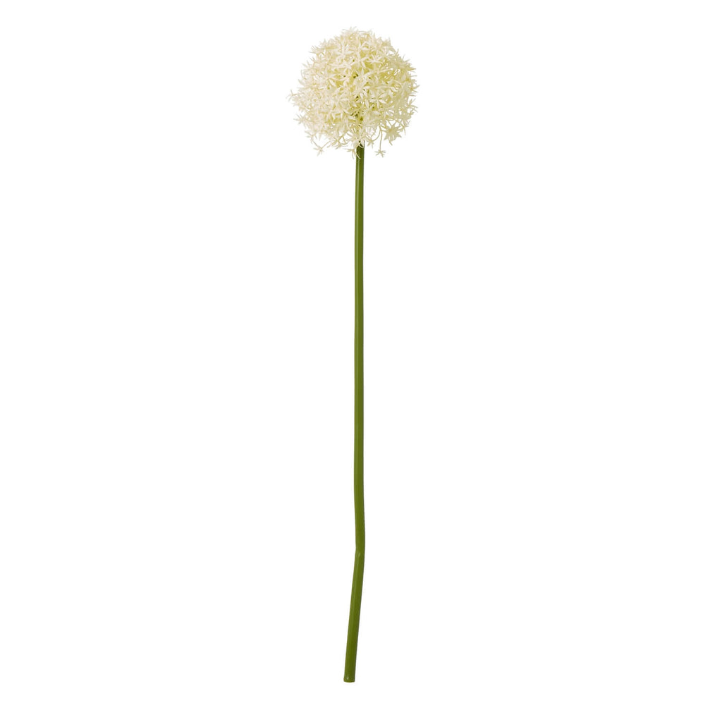 Lifelike cream allium stem floral decor, 80cm tall with slender green stem, perfect for farmhouse or minimalist interiors by sostter at brixbailey.com