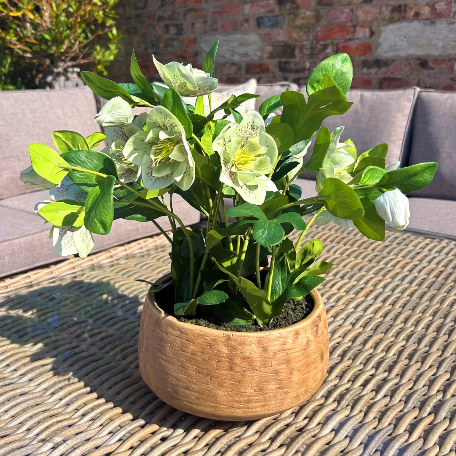 Lifelike faux Hellebore plant in vibrant green with realistic petals, potted in taupe ceramic container for home decor by Sostter at brixbailey.com