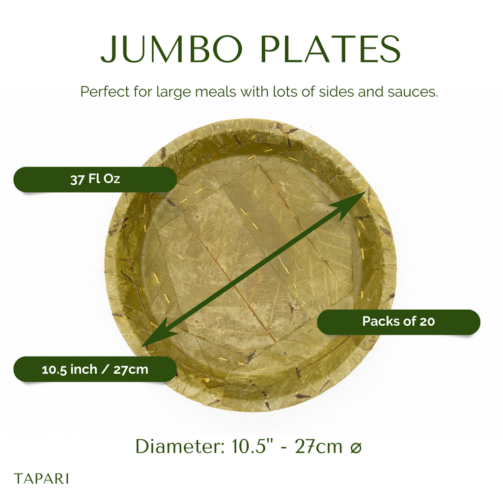 Extra Large Sal Leaf Plates 27cm Natural Disposable Pack of 20