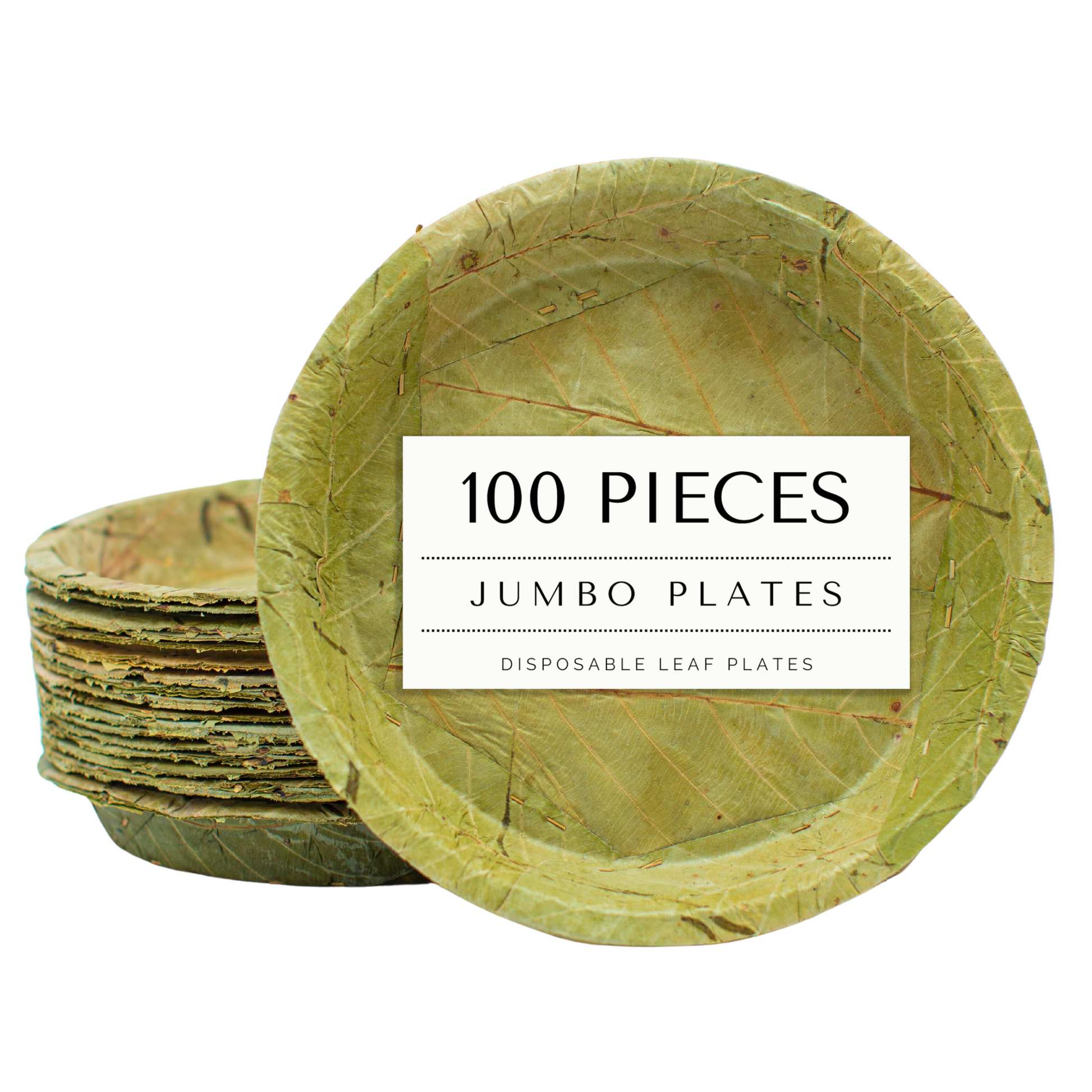 Extra Large Sal Leaf Plates 27cm Natural Disposable Pack of 20