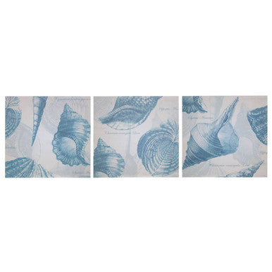 Set of Three Blue Shell Wall Plaques in Cream