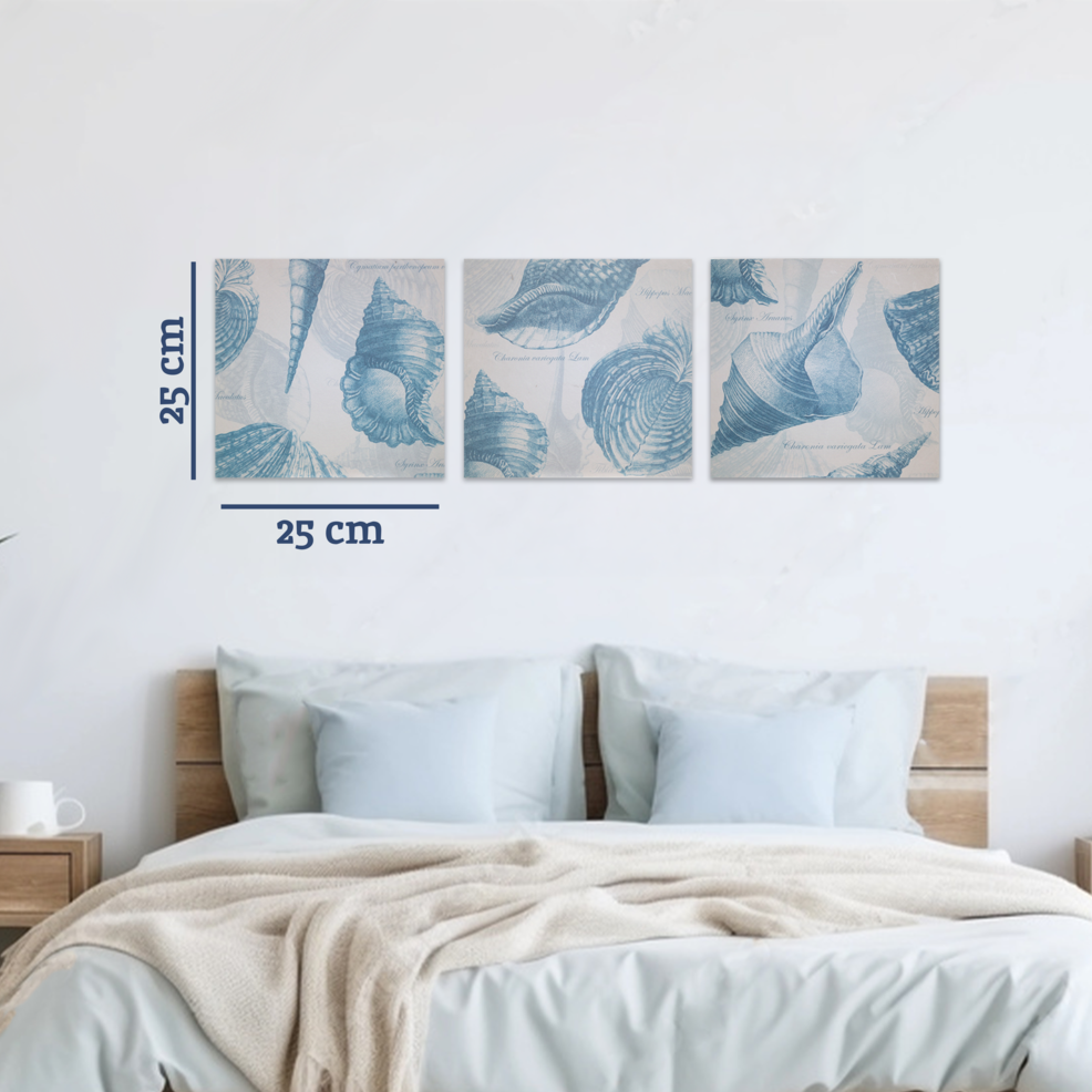 Set of Three Blue Shell Wall Plaques in Cream