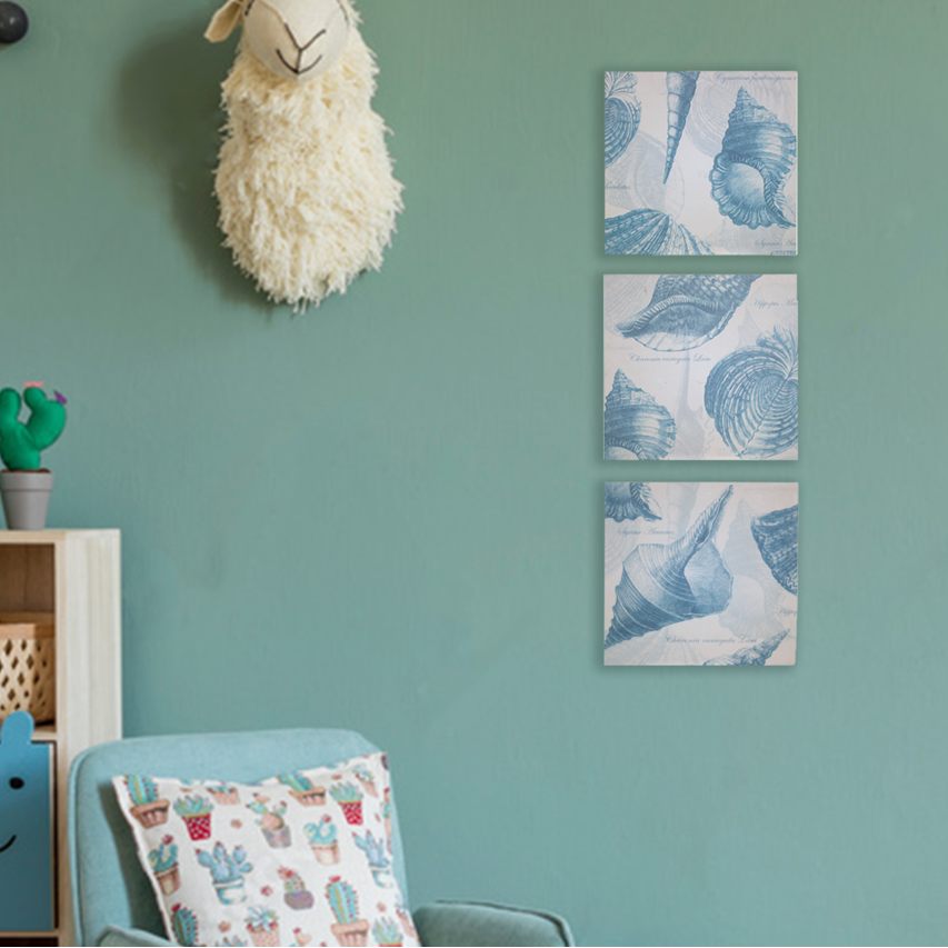 Set of Three Blue Shell Wall Plaques in Cream