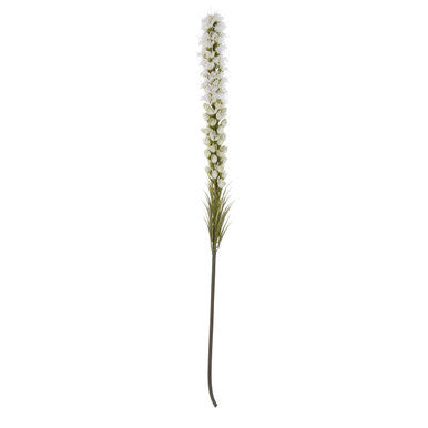 White Blazing Star Flower Stem