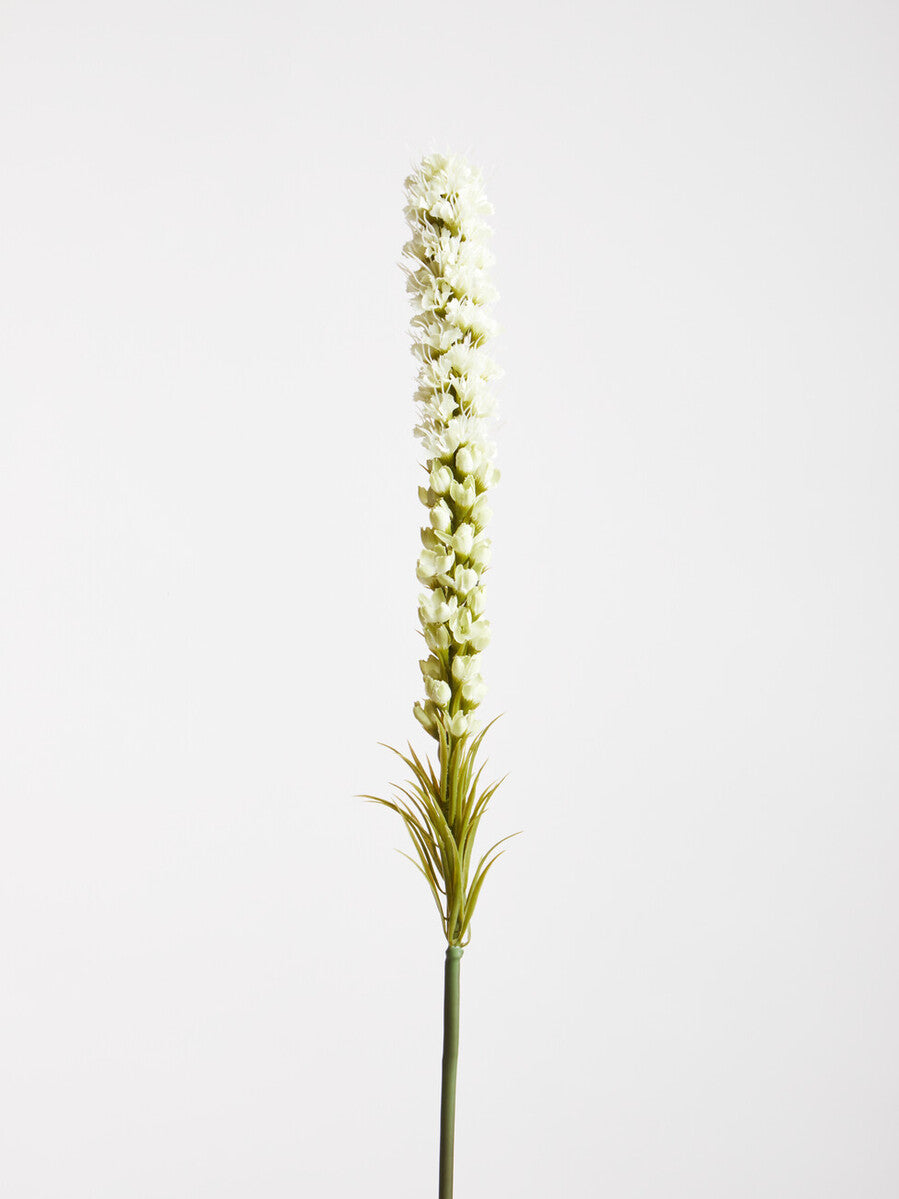 White Blazing Star Flower Stem