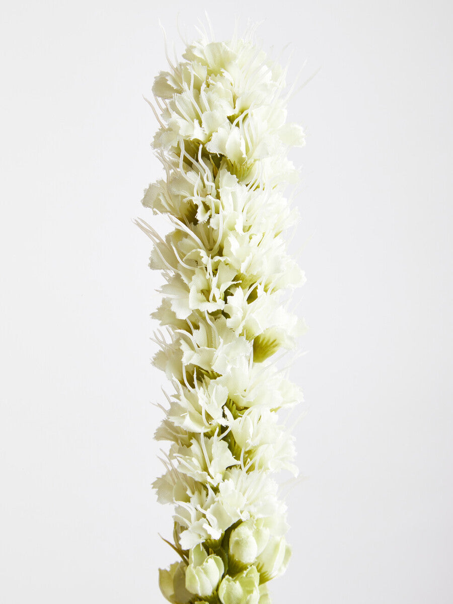 White Blazing Star Flower Stem