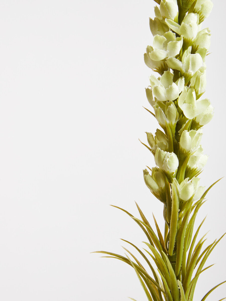 White Blazing Star Flower Stem